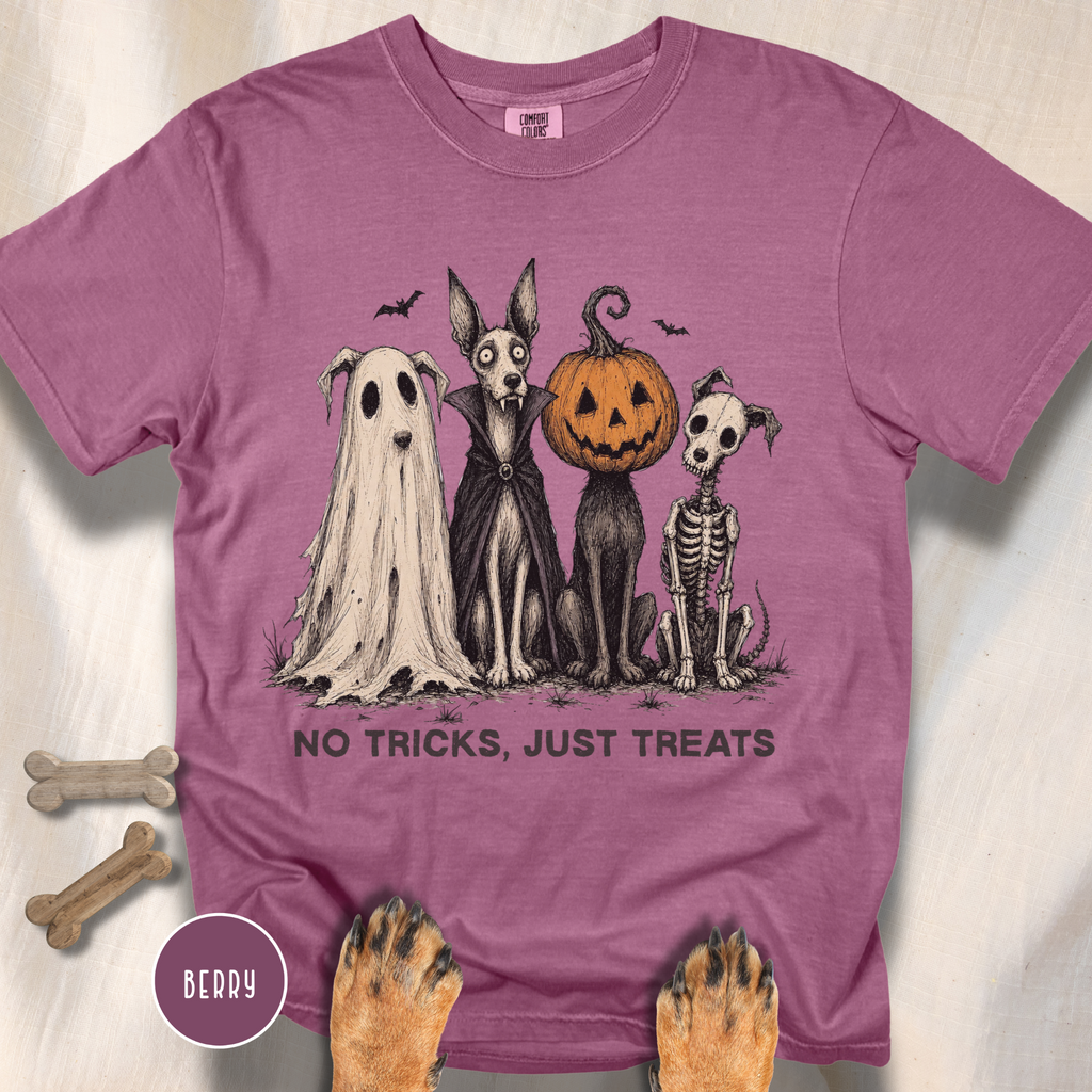 No Tricks Just Treats T-shirt