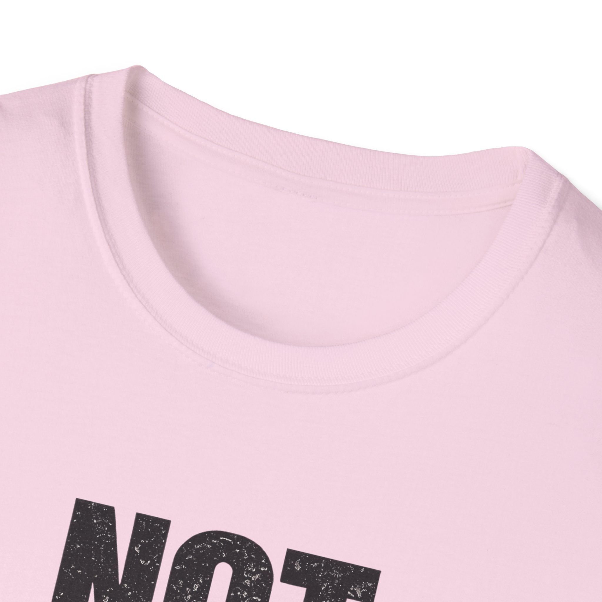NOT FRIENDLY-DO NOT PET T-shirt