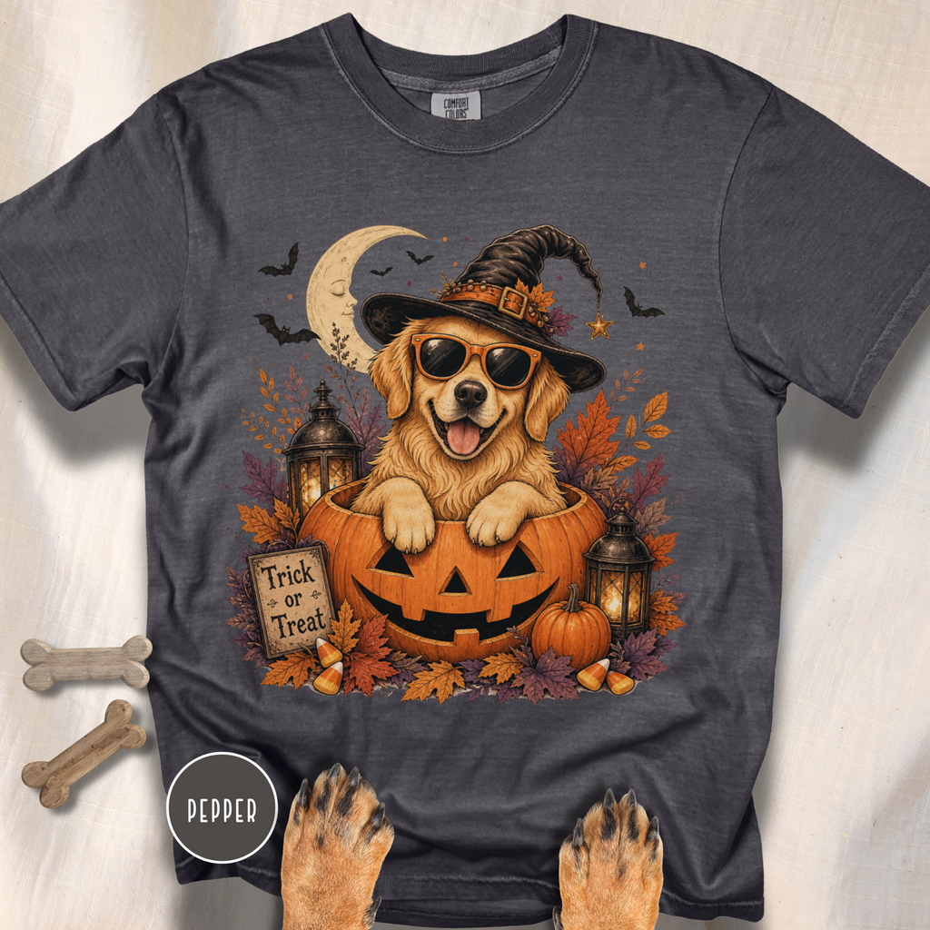 Golden Retriever in a Jack-o-Lantern T-shirt
