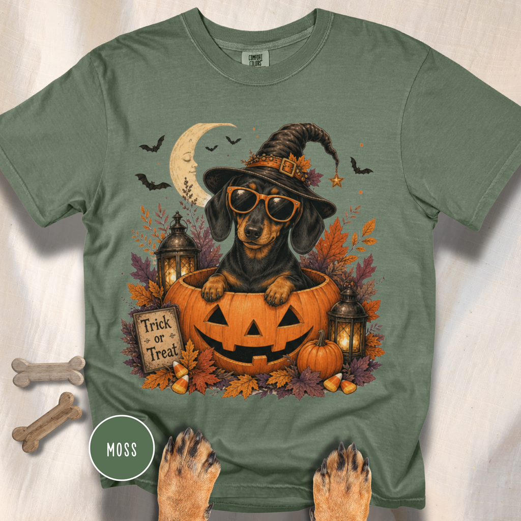 Dachshund in a Jack-o-Lantern T-shirt