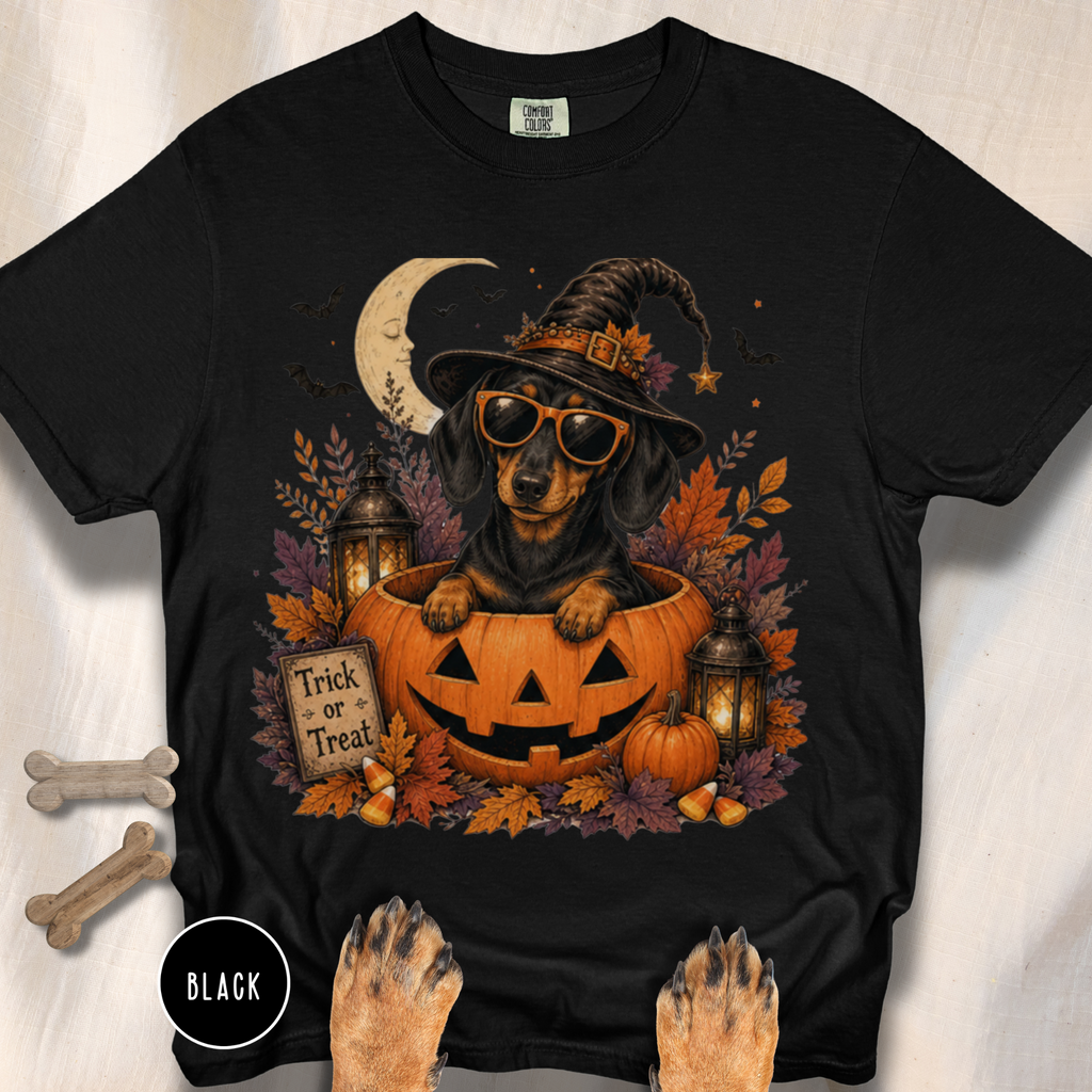 Dachshund in a Jack-o-Lantern T-shirt