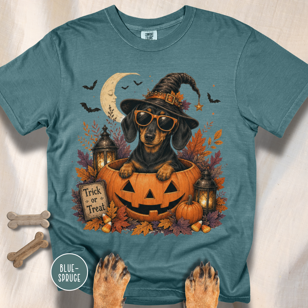 Dachshund in a Jack-o-Lantern T-shirt