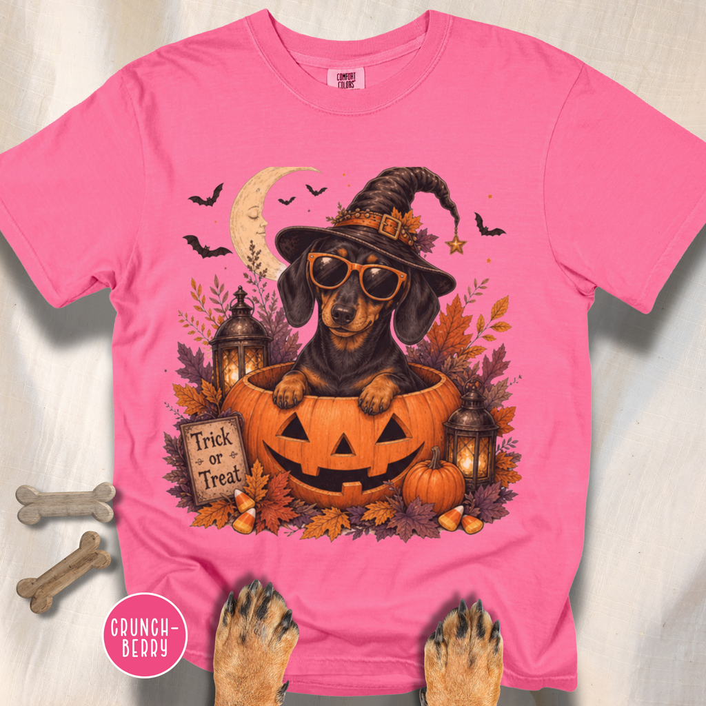 Dachshund in a Jack-o-Lantern T-shirt