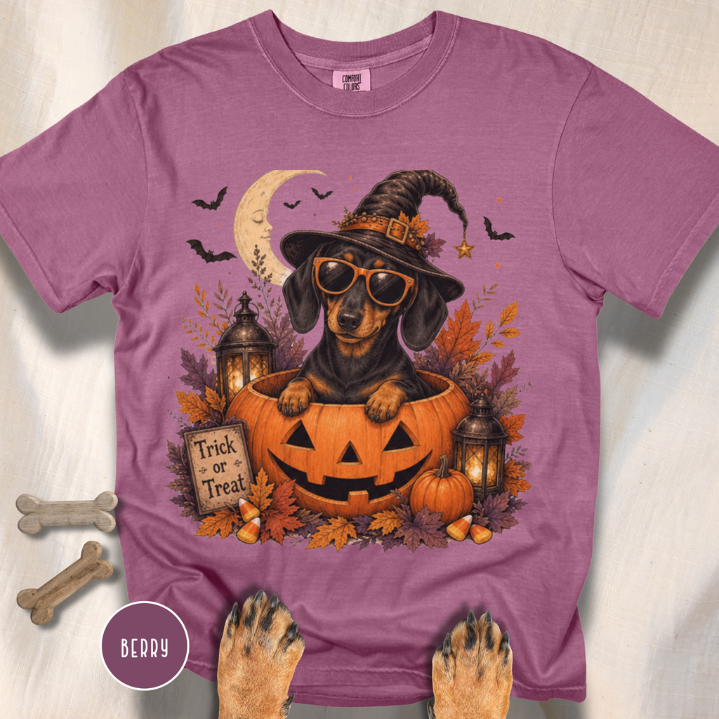 Dachshund in a Jack-o-Lantern T-shirt