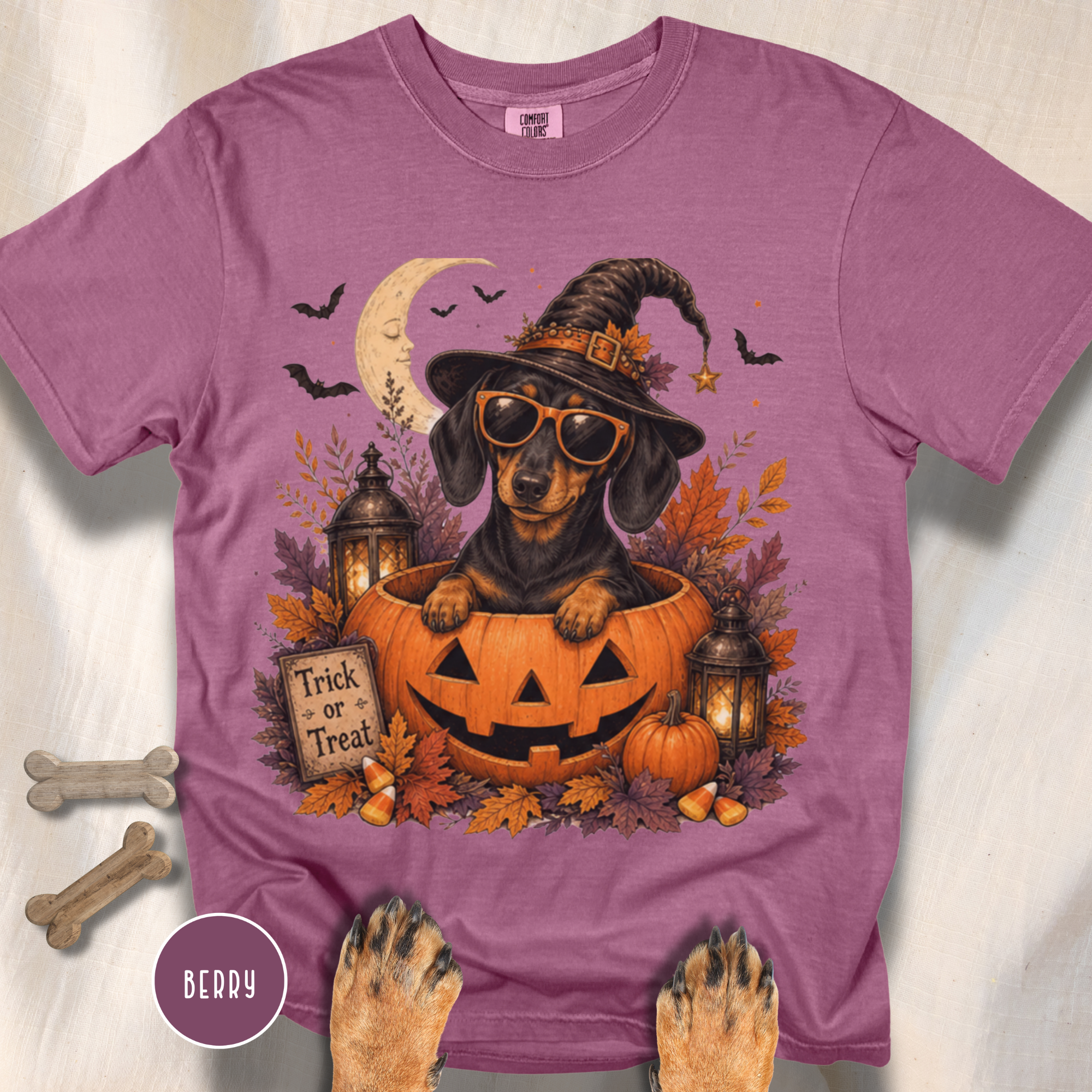 Dachshund in a Jack-o-Lantern T-shirt