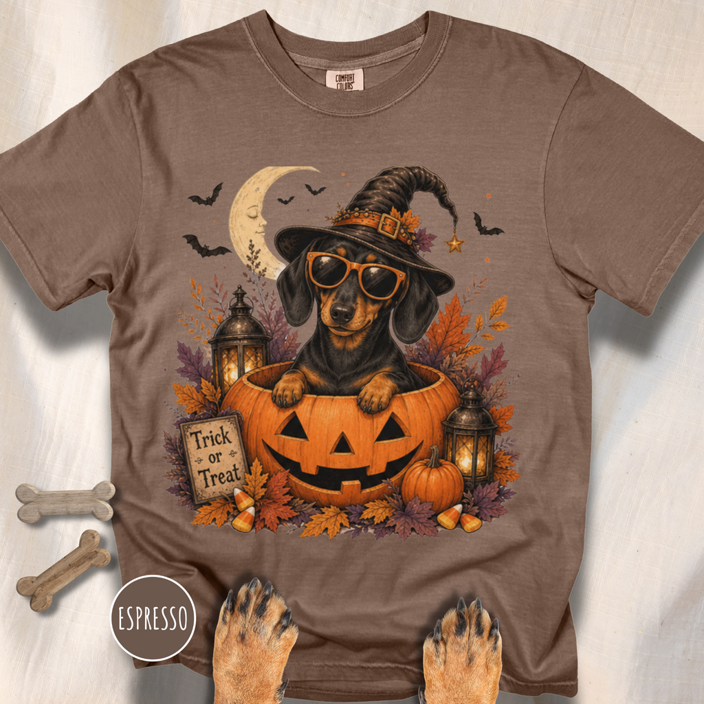 Dachshund in a Jack-o-Lantern T-shirt