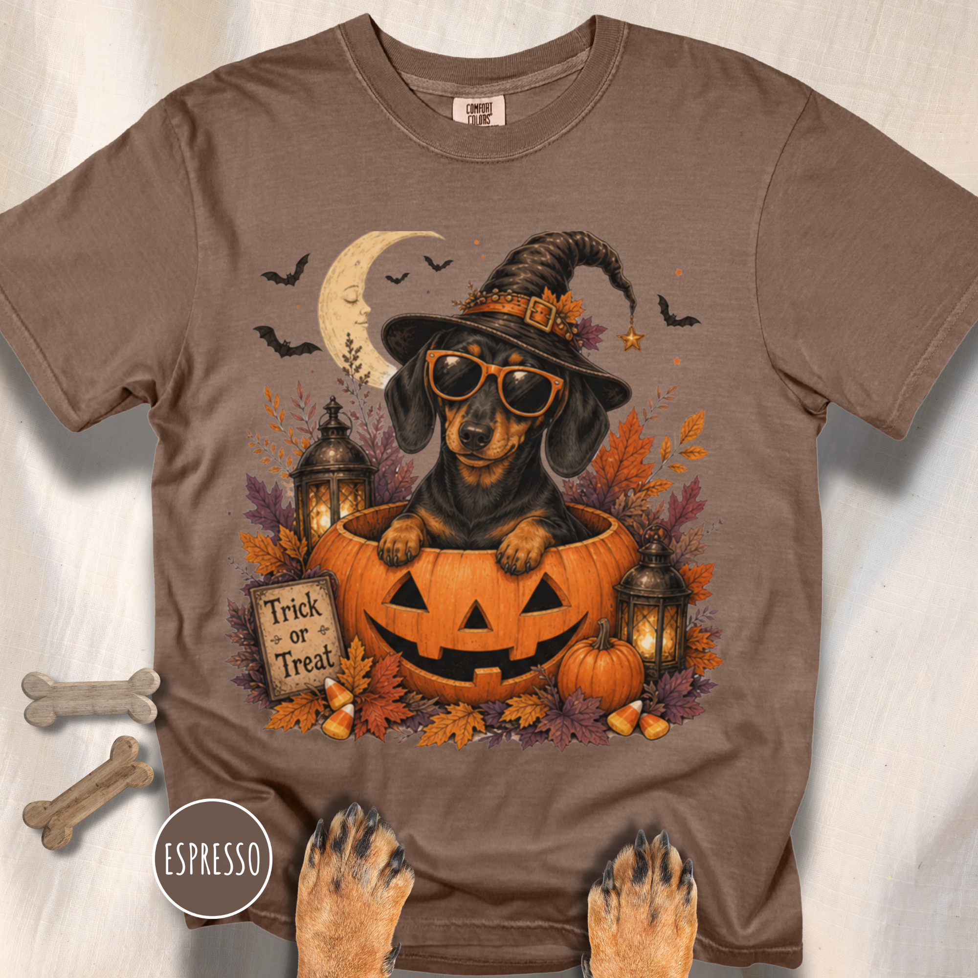 Dachshund in a Jack-o-Lantern T-shirt
