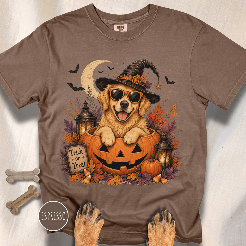 Golden Retriever in a Jack-o-Lantern T-shirt