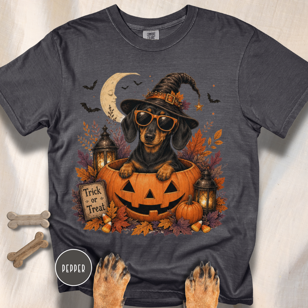 Dachshund in a Jack-o-Lantern T-shirt