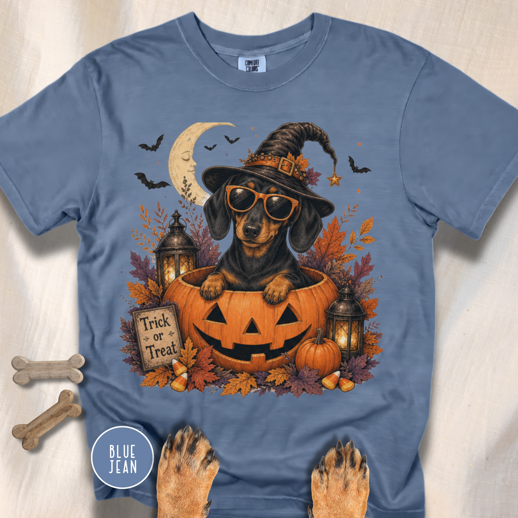 Dachshund in a Jack-o-Lantern T-shirt