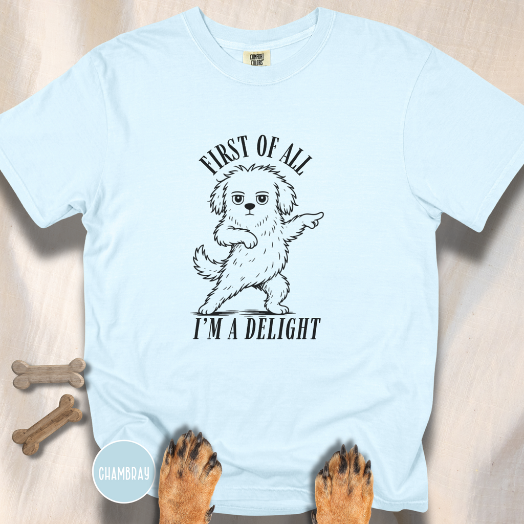 First of All I'm a Delight T-shirt