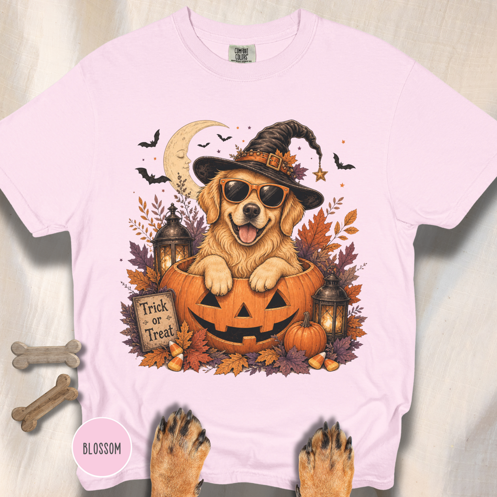 Golden Retriever in a Jack-o-Lantern T-shirt