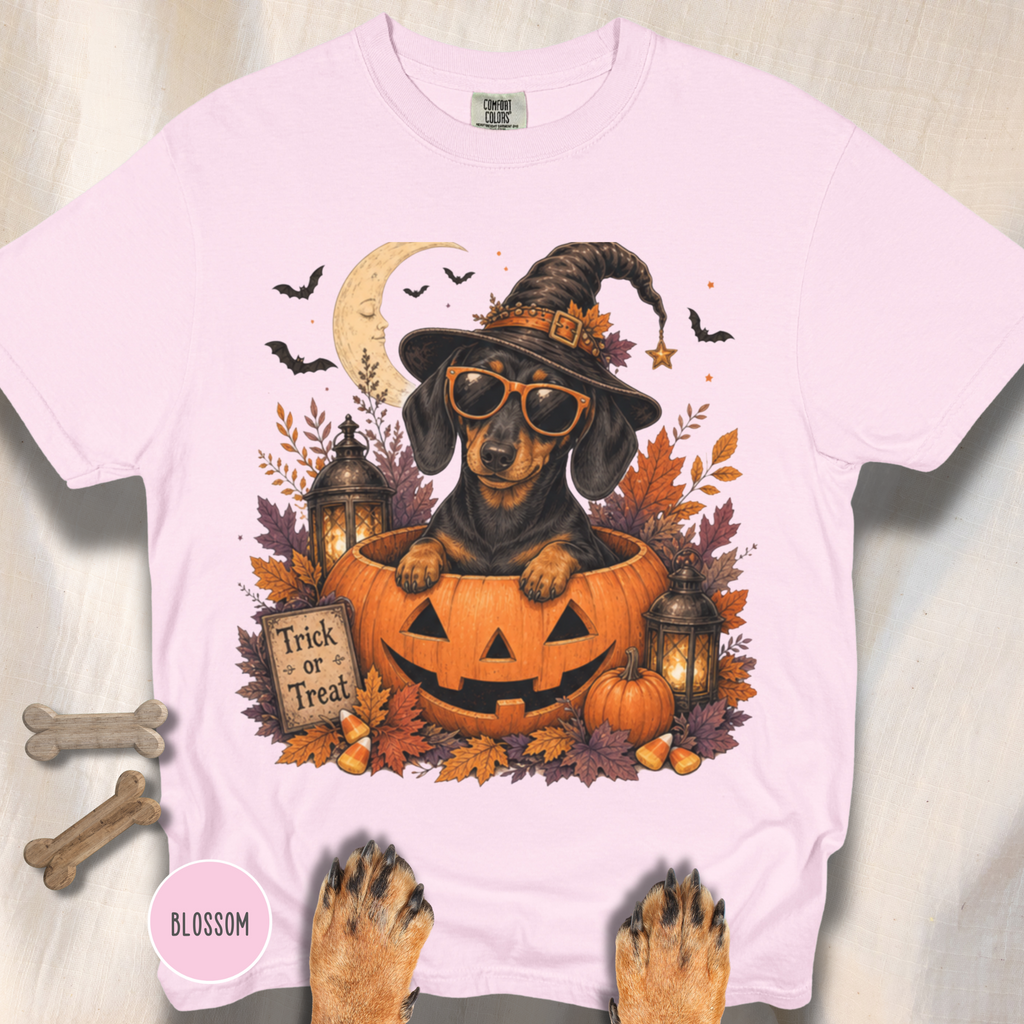 Dachshund in a Jack-o-Lantern T-shirt