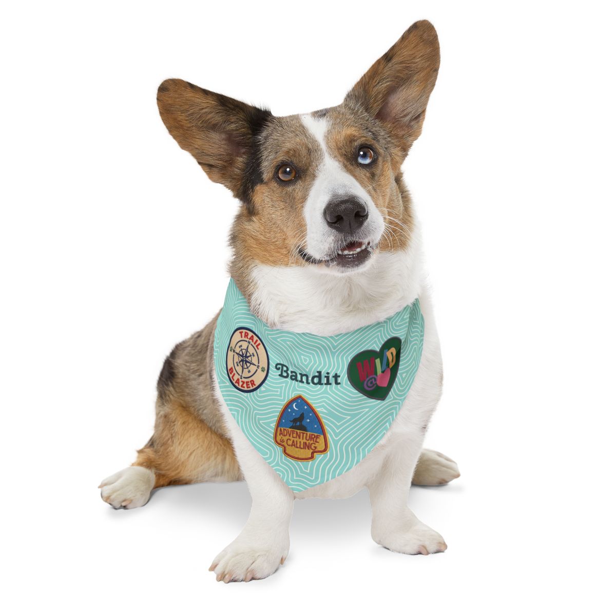 Personalized Adventure Dog Bandana | Choose Your Badges